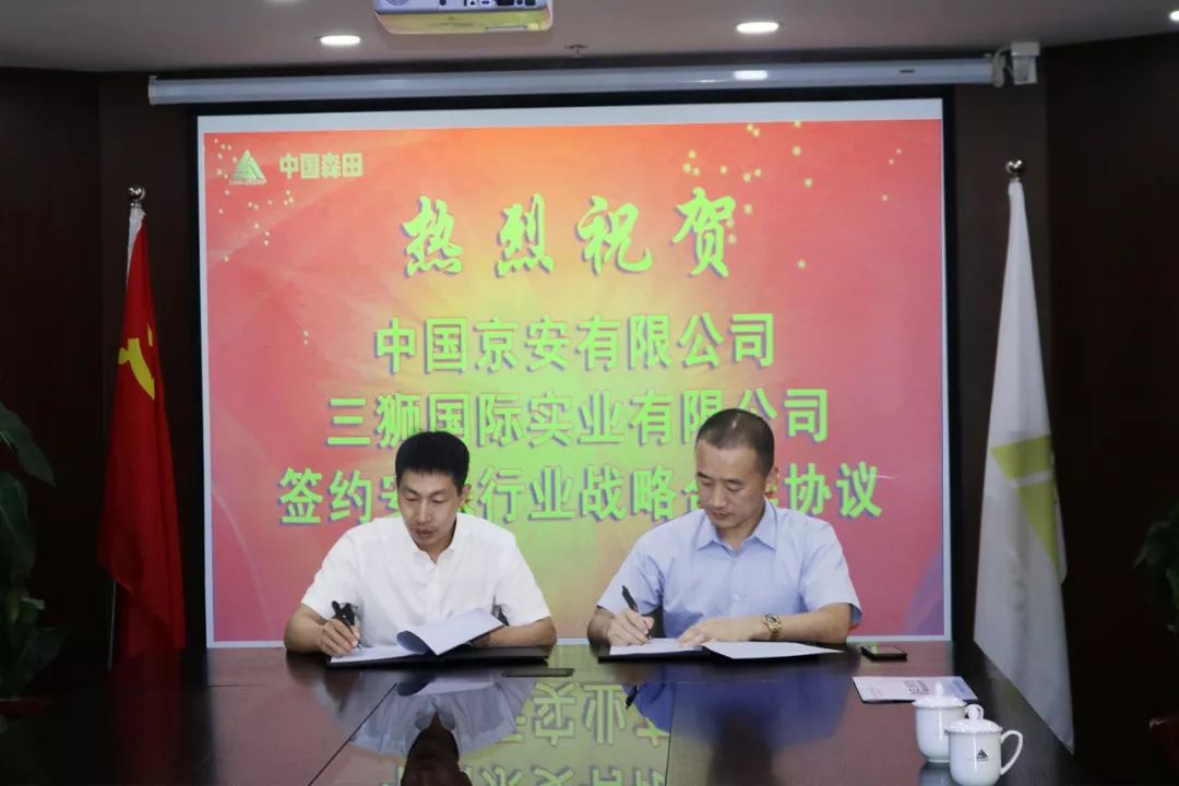 Three Lions International and China Jingan Co., Ltd. signed an industry strategic cooperation agreement